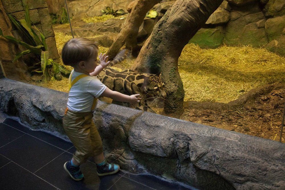 348fb0fb26c84bc671e4e21bf7dbad7c.jpg 348fb0fb26c84bc671e4e21bf7dbad7c.jpg