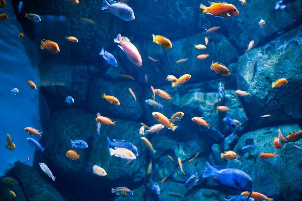 b72b27c59a7f19fdc58c41229a8dacb5.jpg b72b27c59a7f19fdc58c41229a8dacb5.jpg