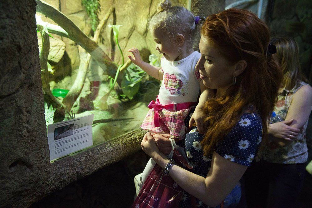 59dcd5dd5e34c5238bfbfaecdce766d6.jpg 59dcd5dd5e34c5238bfbfaecdce766d6.jpg