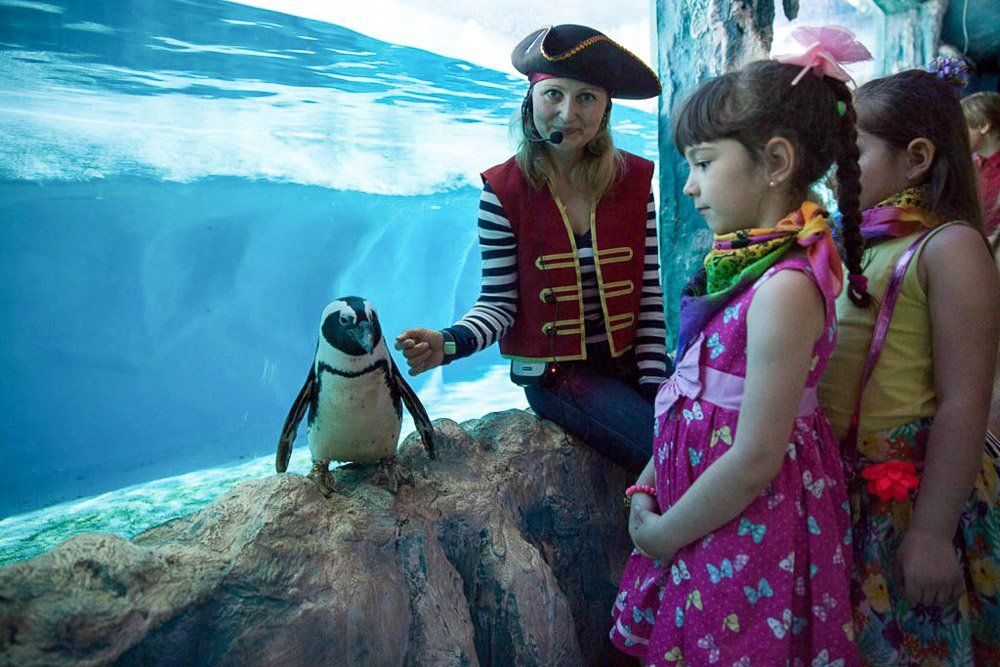 4a040a90cd5e65c436d978bf32dd94b7.jpg 4a040a90cd5e65c436d978bf32dd94b7.jpg