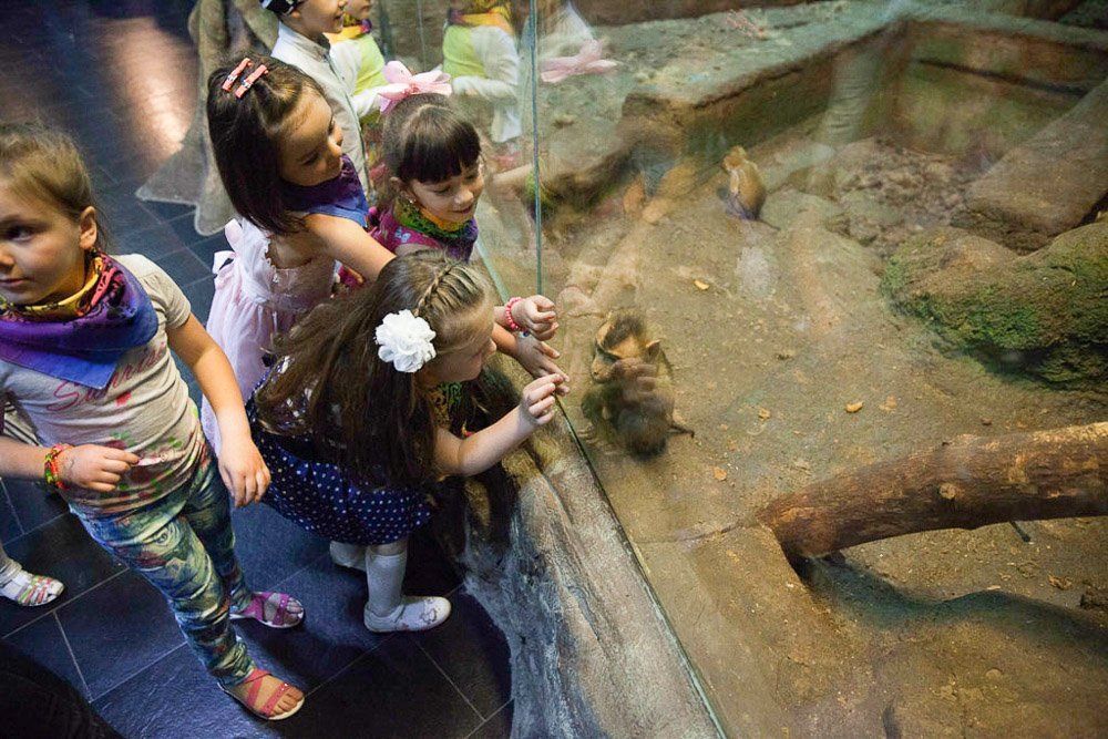 ca67ecbba0ab92fe0cbce47dd1fac2fd.jpg ca67ecbba0ab92fe0cbce47dd1fac2fd.jpg