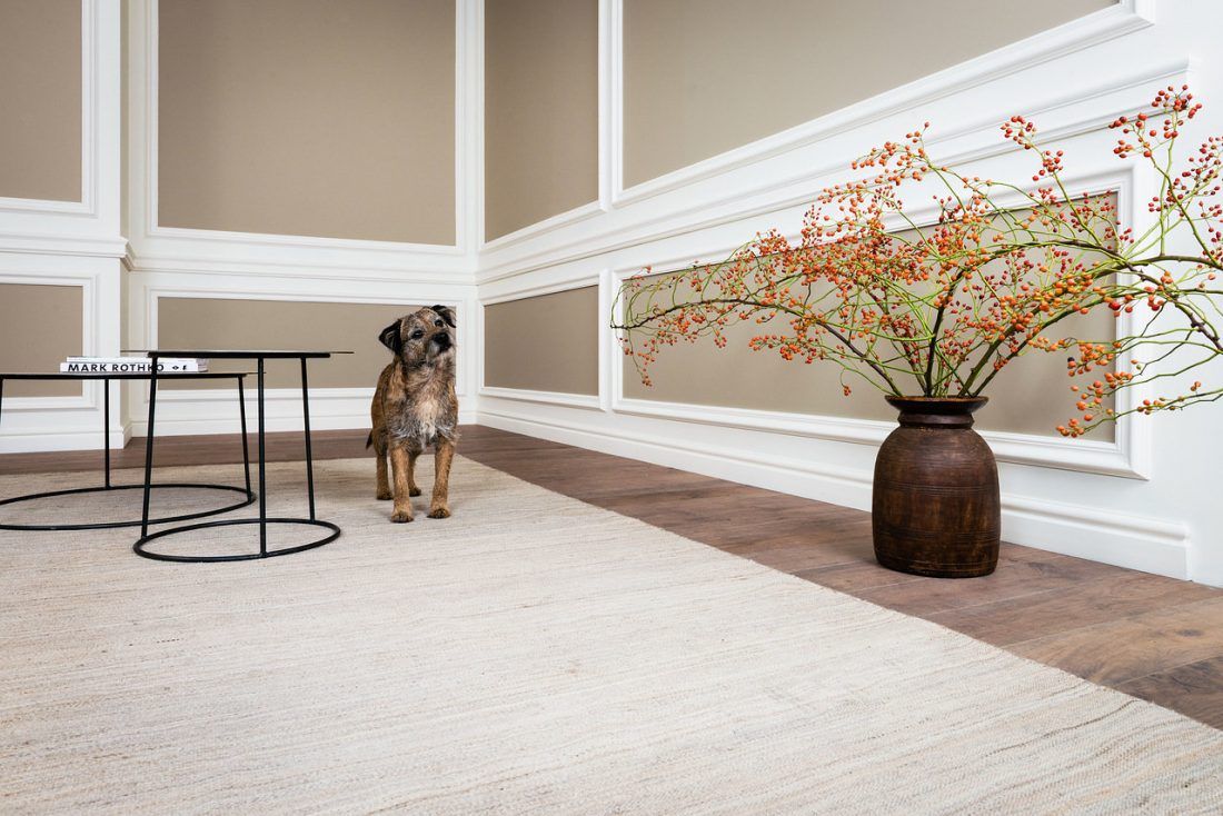 Ампир Декор лепнина Orac Decor