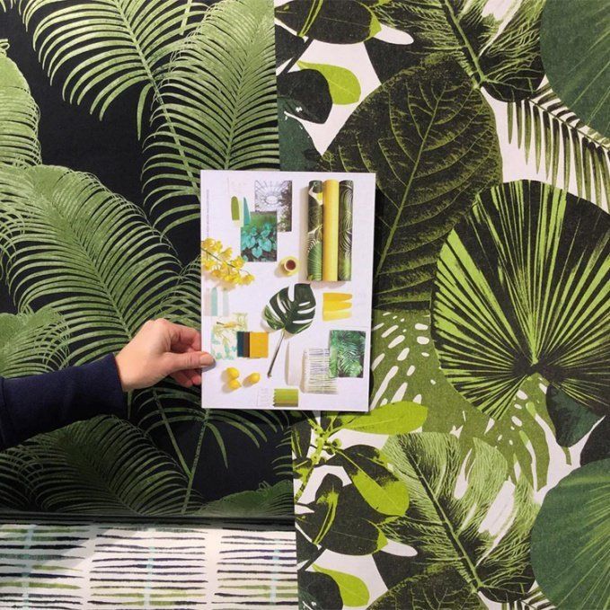 Флизелиновые обои для стен Oxygen от Khroma (Бельгия)