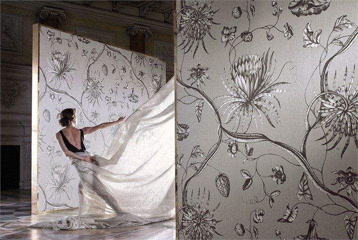 жемчужно-серые обои с цветами и лианами Zoffany, каталог Phaedra