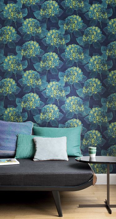 гортензии из коллекции Kurioza