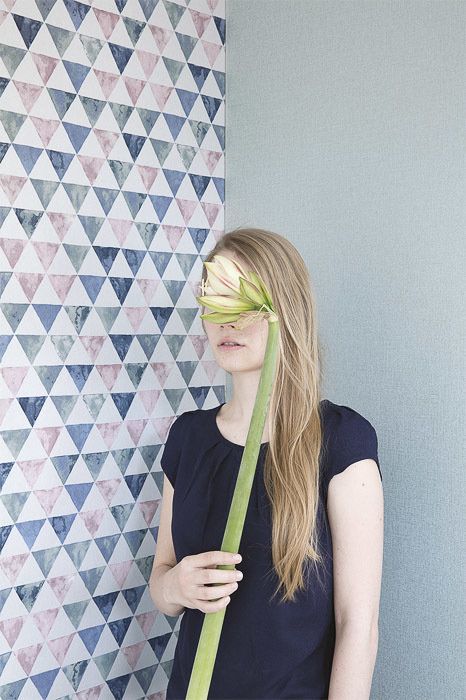 обои из коллекции Kurioza