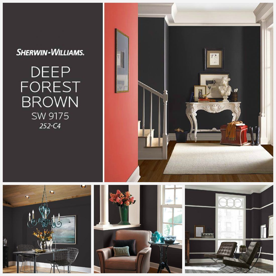 цвета года от краски Sherwin-Williams: март