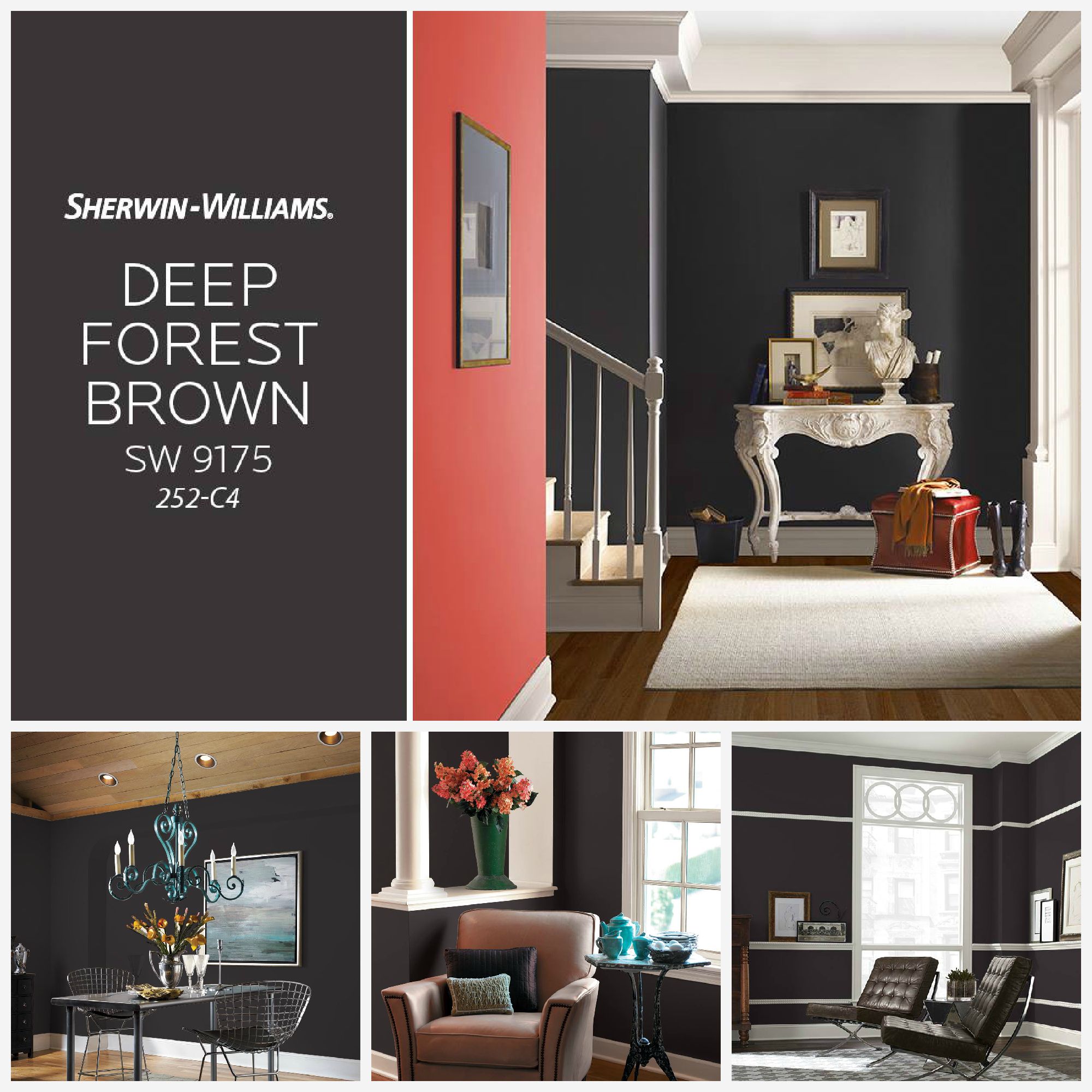 краски Sherwin-Williams в Ампир Декор цвета года от краски Sherwin-Williams: март