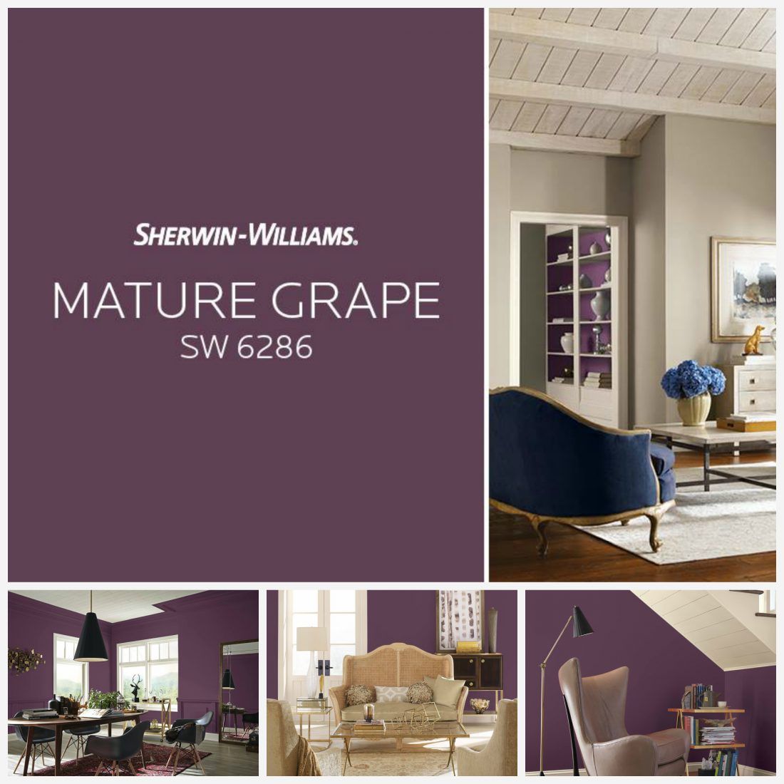 цвета года от краски Sherwin-Williams: февраль