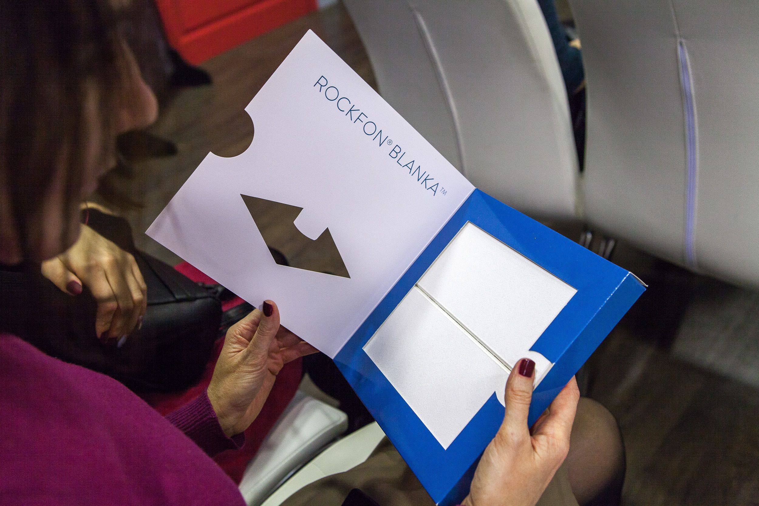 лекция ROCKFON® «Инновации и акустический комфорт в интерьере»