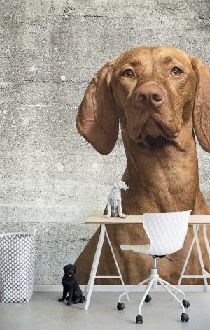 Фотопанно с символом года - собакой из коллекции Wallpower Junior от голландского бренда Eijffinger