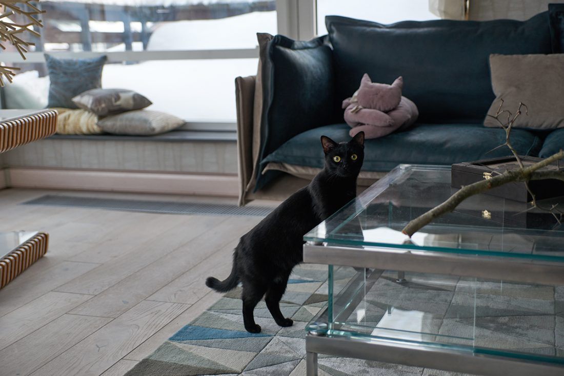 Идеальный ремонт Ампир Декор Москва обои краски