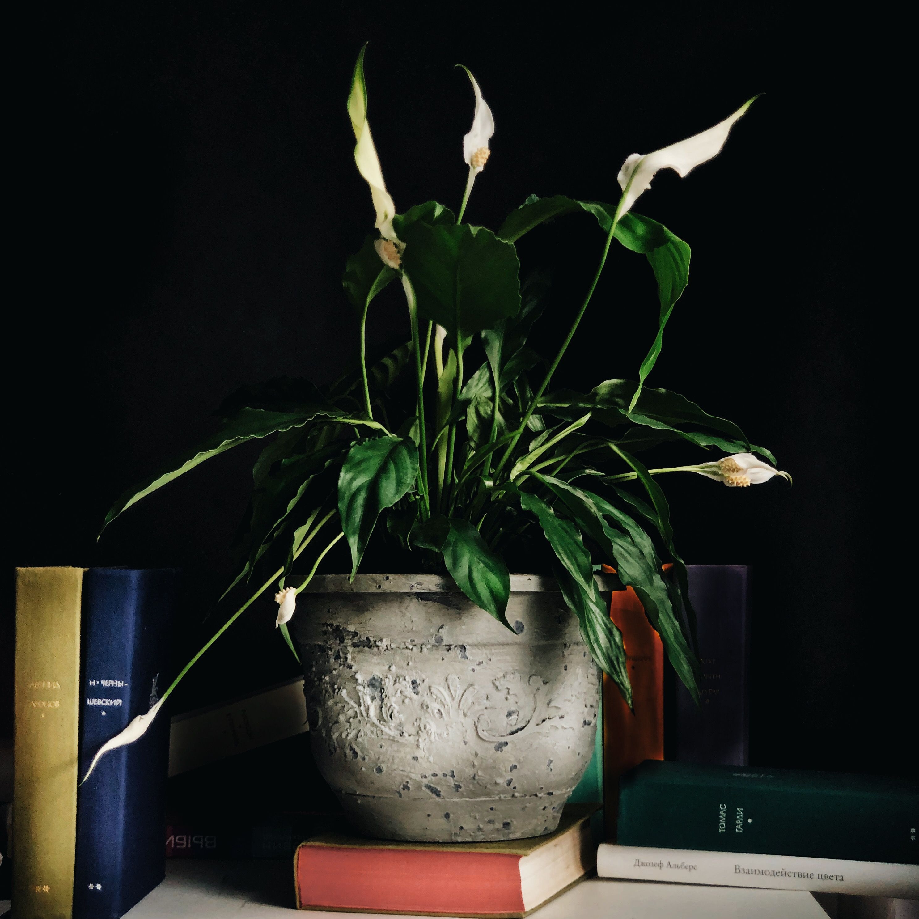 мастер-класс Александра Мершиева Мануфактура 5