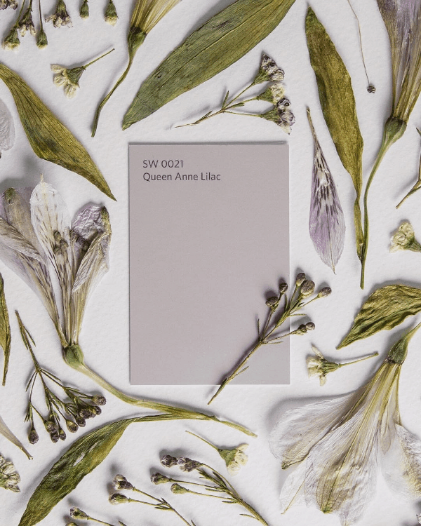 цвета года 2018 Sherwin-Williams