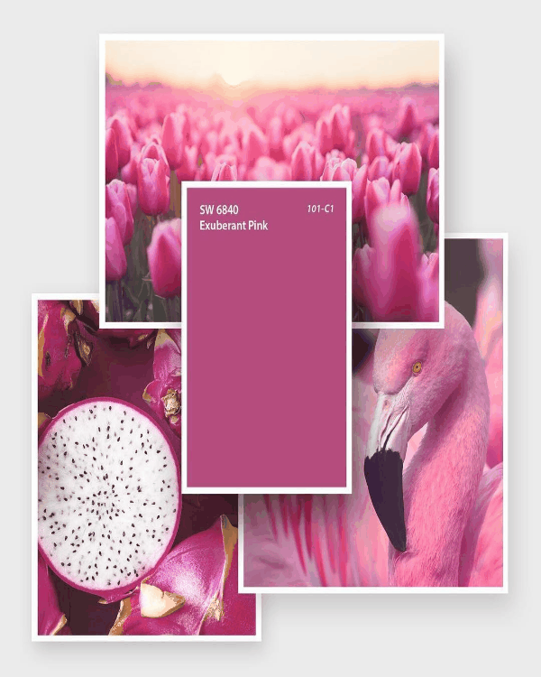 цвета года 2018 Sherwin-Williams