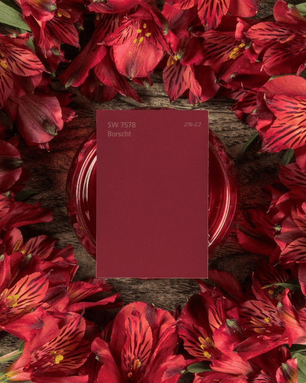 цвета года 2018 Sherwin-Williams