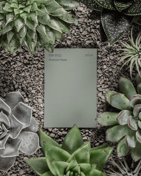 цвета года 2018 Sherwin-Williams