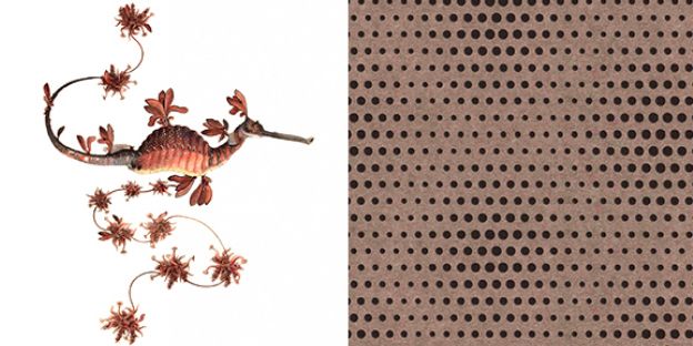 Ампир Декор обои Extinct Animals от ARTE и Moooi