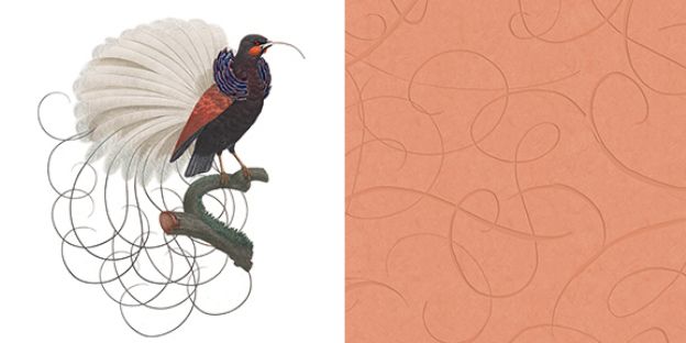 Ампир Декор обои Extinct Animals от ARTE и Moooi