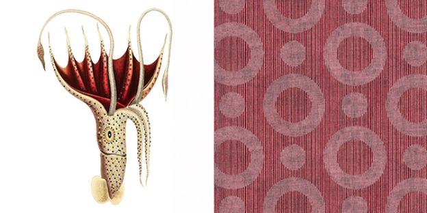 Ампир Декор обои Extinct Animals от ARTE и Moooi