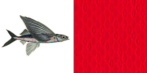 Ампир Декор обои Extinct Animals от ARTE и Moooi