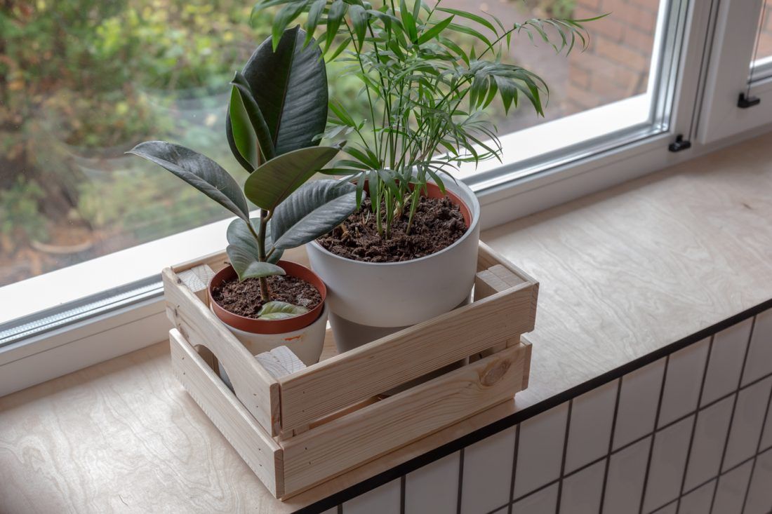 Гостинная-хокку с бамбуковым камином и обоями Khroma Zoom в программе "Дачный ответ"