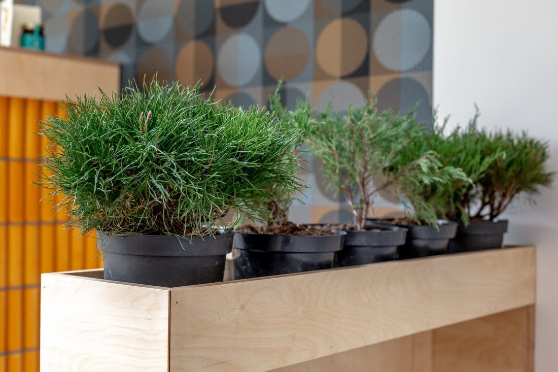 Ампир Декор Khroma Zoom Переделка ТВ