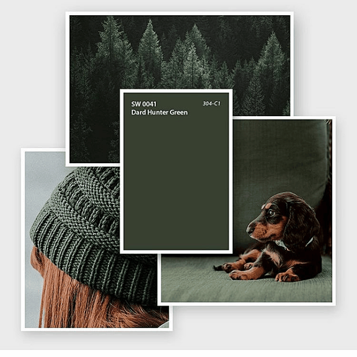 Ампир Декор Sherwin-Williams