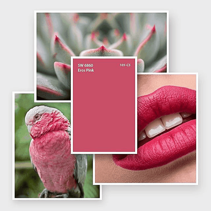 Ампир Декор Sherwin-Williams