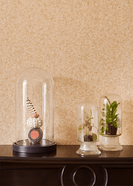 Ампир Декор Sample Simple Service Plainbox однотонные обои